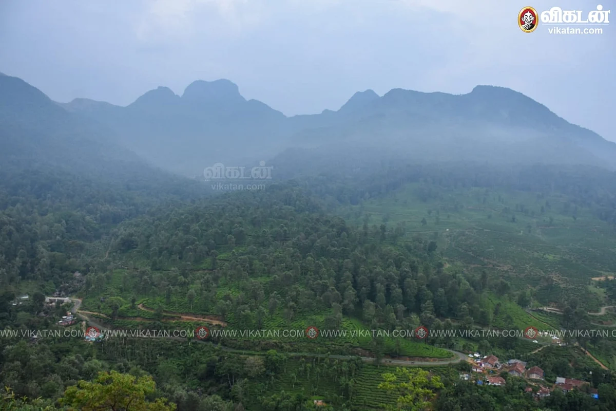 வேலி