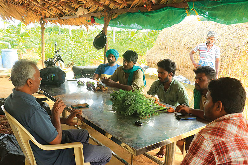 விவசாயிகளுக்குப் பயிற்சி