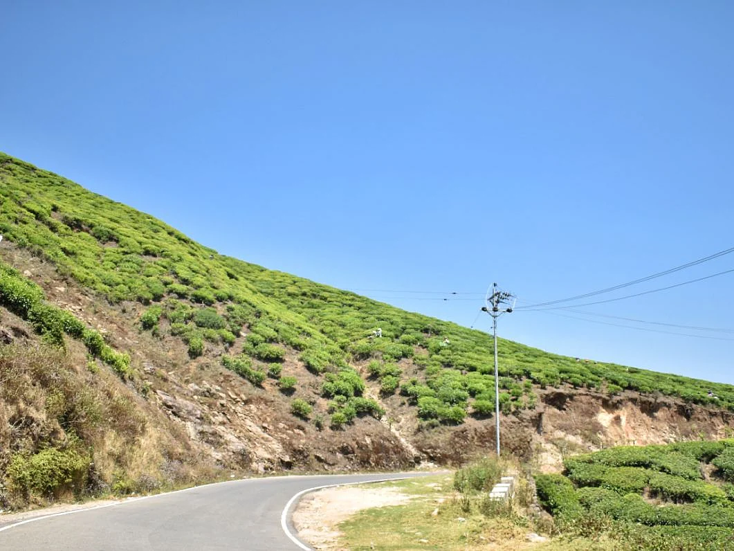 Weekend Trip: சிறுத்தை,கரடி 10 அடிக்கு பாம்பு! மிரட்டும் கோடந்தூர் காடு ஒரு விசிட்! | Photo Story
