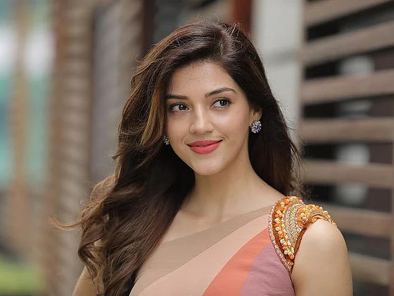 Vijay 66: படத்தில் இணைகிறாரா 'பட்டாஸ்' ஹீரோயின்? யார் இந்த Mehreen Pirzada|Photo Story