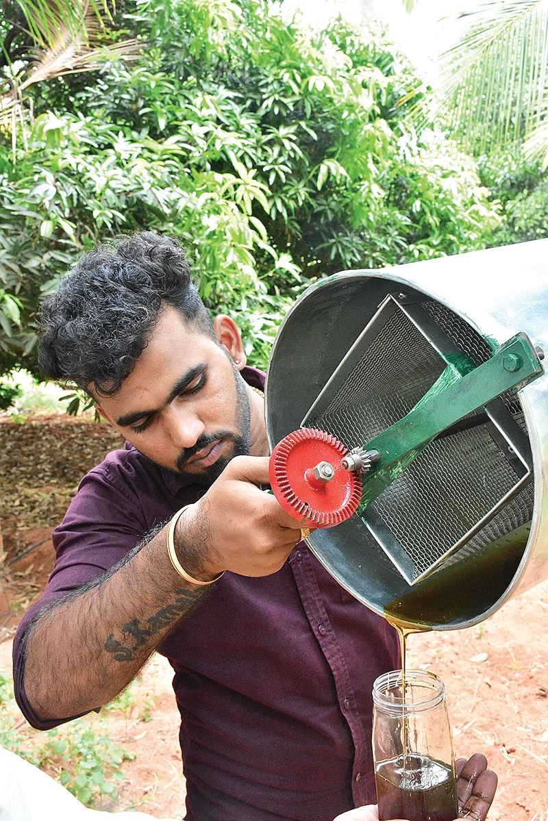 தேன் எடுக்கும் பணியில்