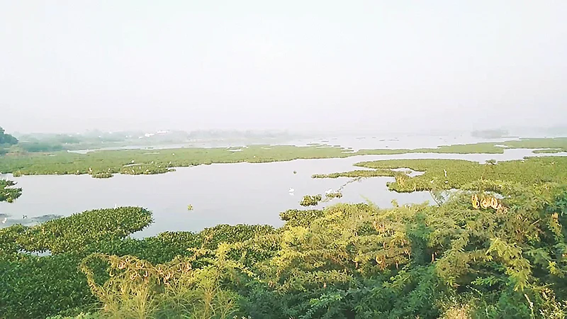 நஞ்சராயன் குளம்