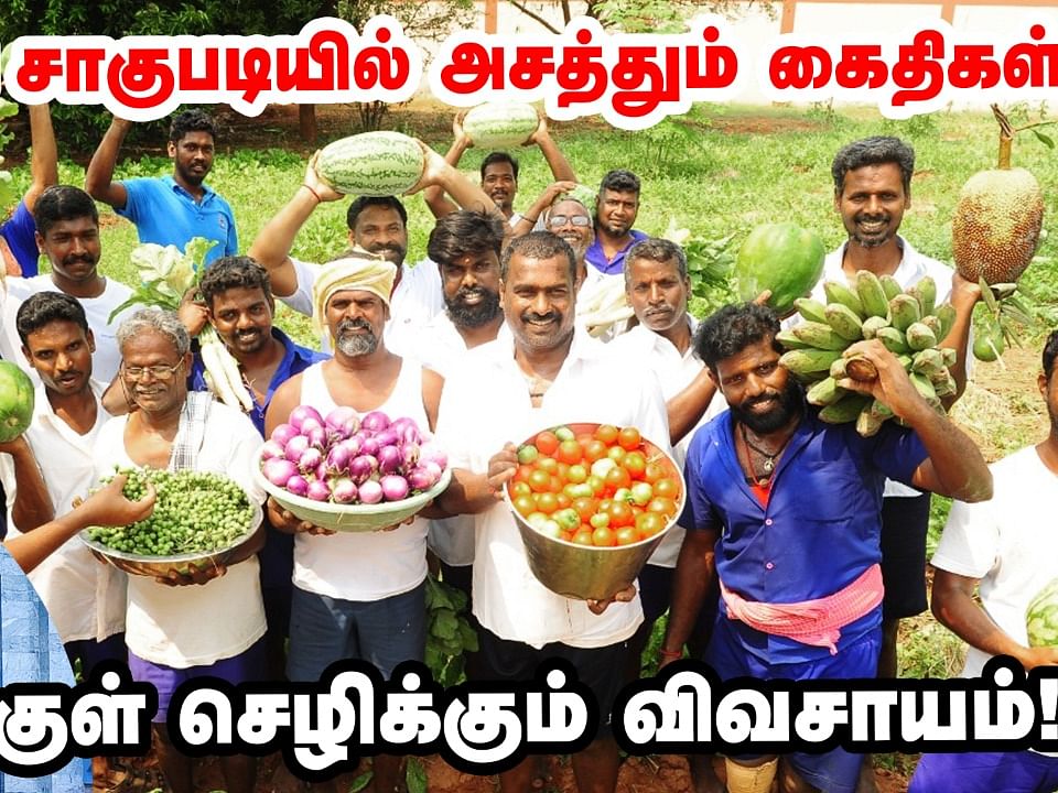 ஜெயிலுக்குள் விவசாயம்; காய்கறி சாகுபடியில் அசத்தும் கைதிகள்! |organic Farming in puducherry prison 