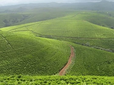 வெயில் காலத்தில் நீங்கள் சுற்றுலா செல்ல வேண்டிய இடங்கள்! |Visual Story