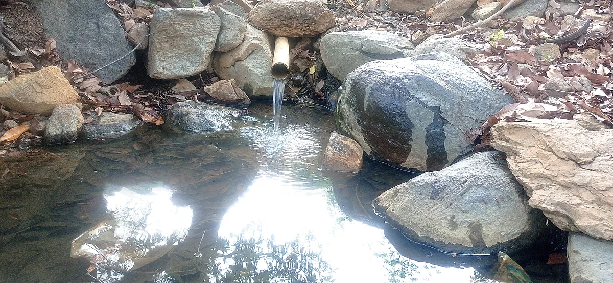 புனித நீர் ஊற்று