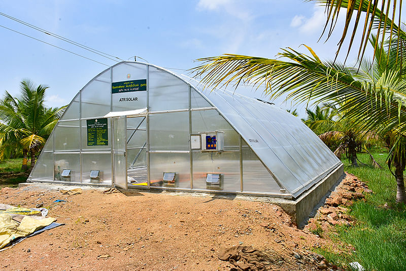 சுரிய ஒளி உலர்த்தியின்
வெளிப்புற தோற்றம்