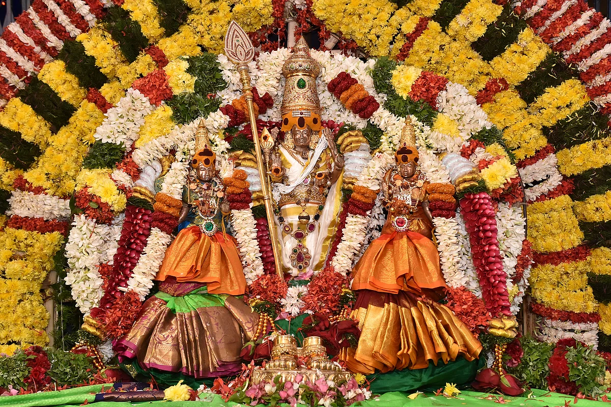 செந்தில் கந்தன்