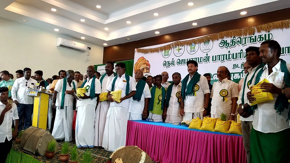 நெல் திருவிழாவில்