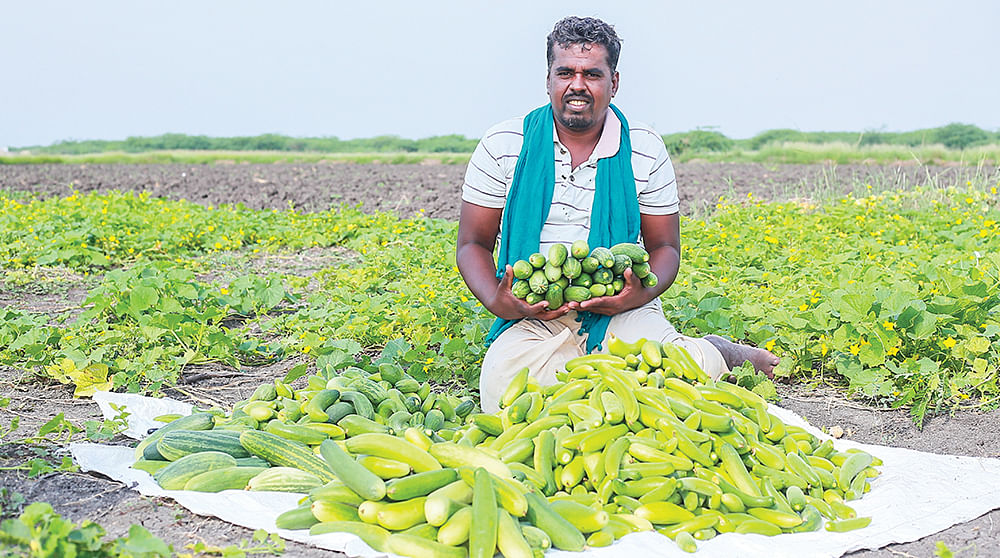 தோட்டத்தில்