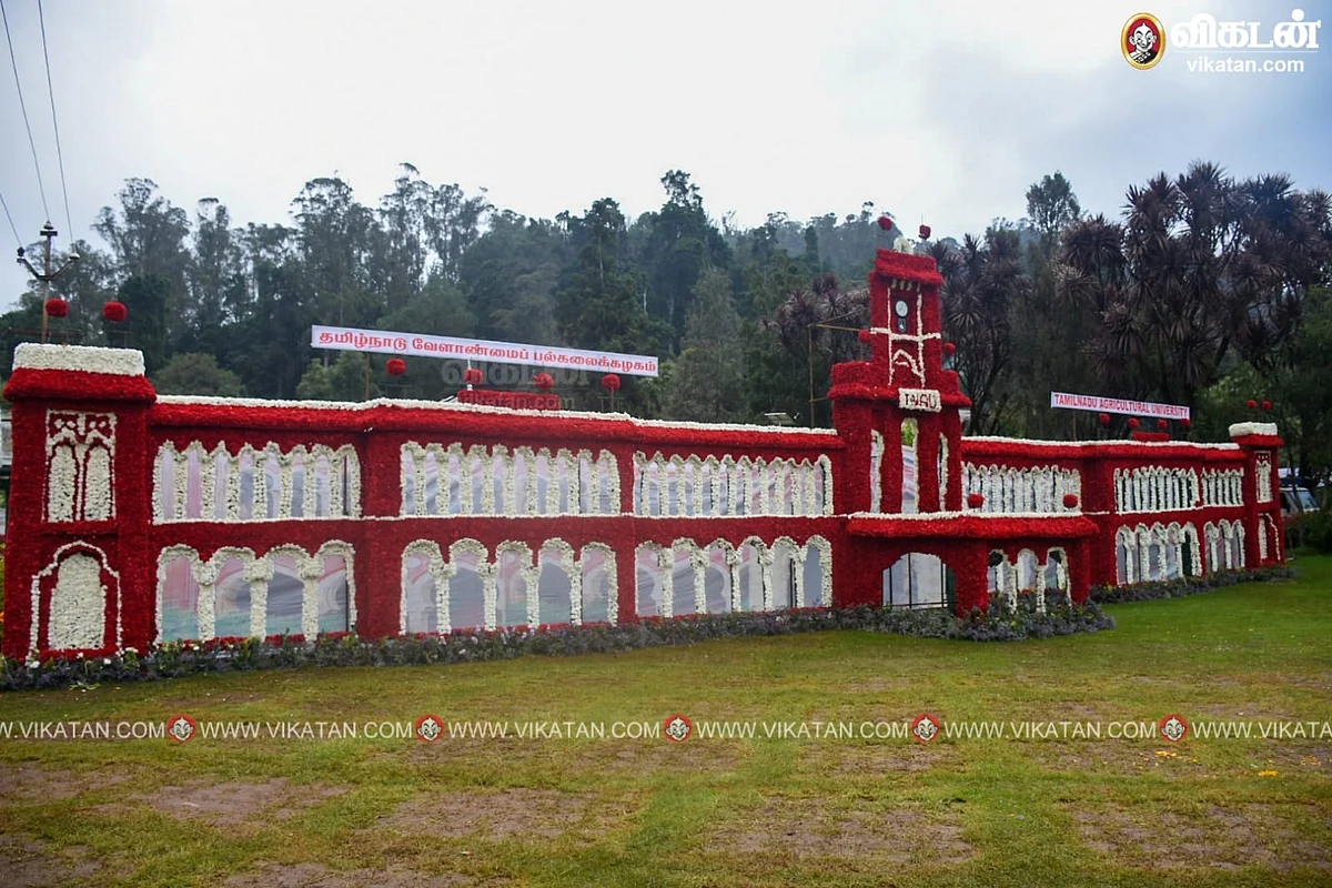 Ooty flower show