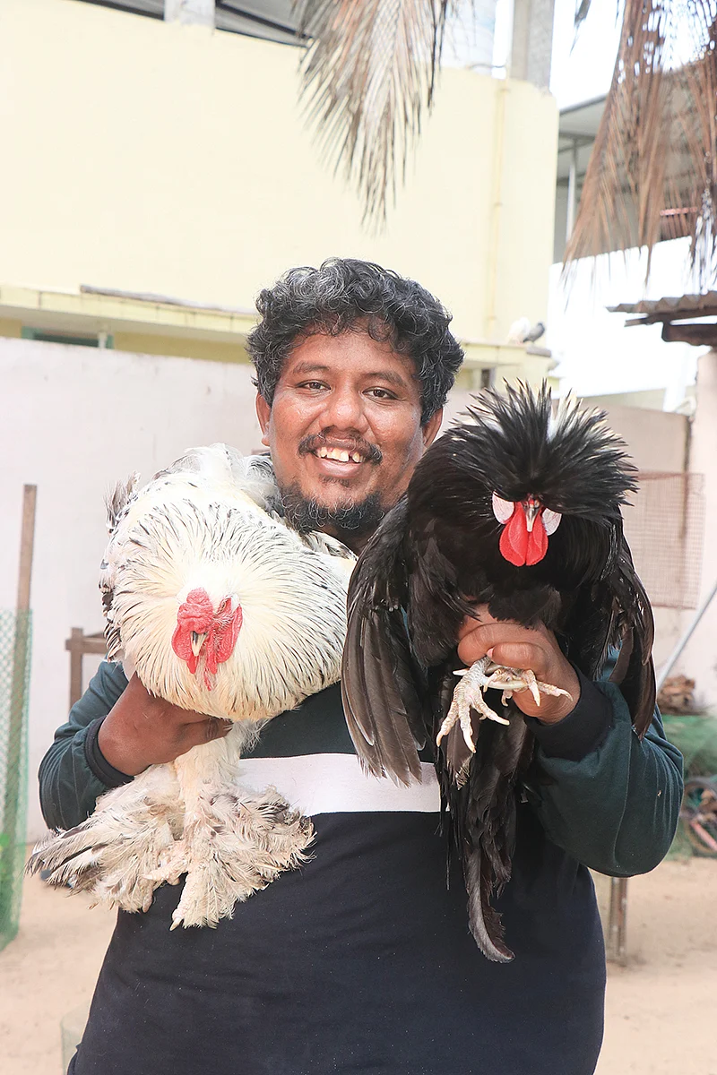 கோழிகளுடன் ரிசால் கான்