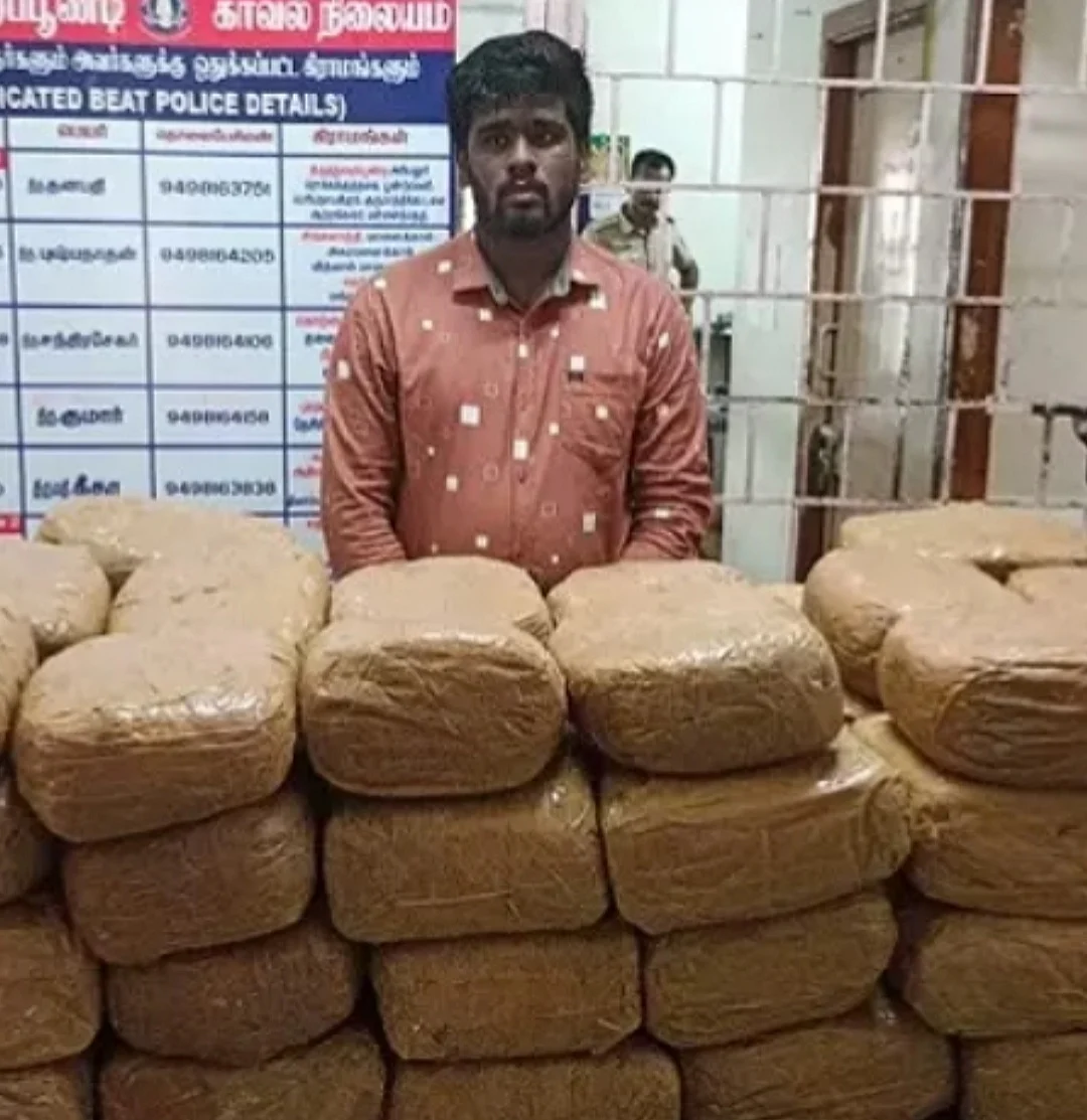 ஆந்திராவிலிருந்து வந்த கார்; 3 நம்பர் பிளேட்டுகள் - ரூ. 1 கோடி மதிப்பிலான கஞ்சா சிக்கியது எப்படி?