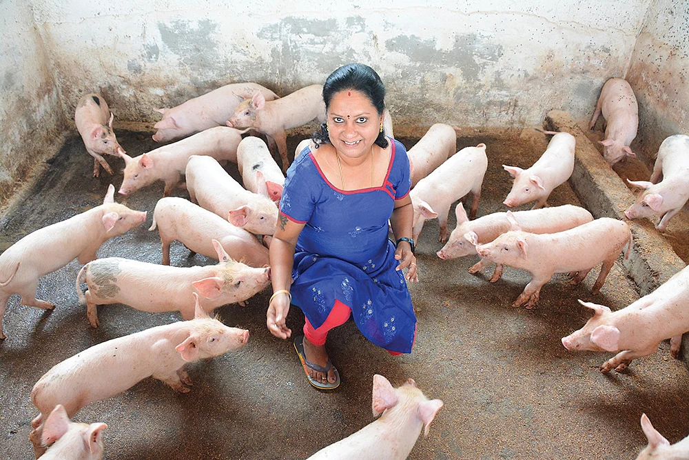வெண்பன்றிகள் பண்ணையில் சுஜாதா