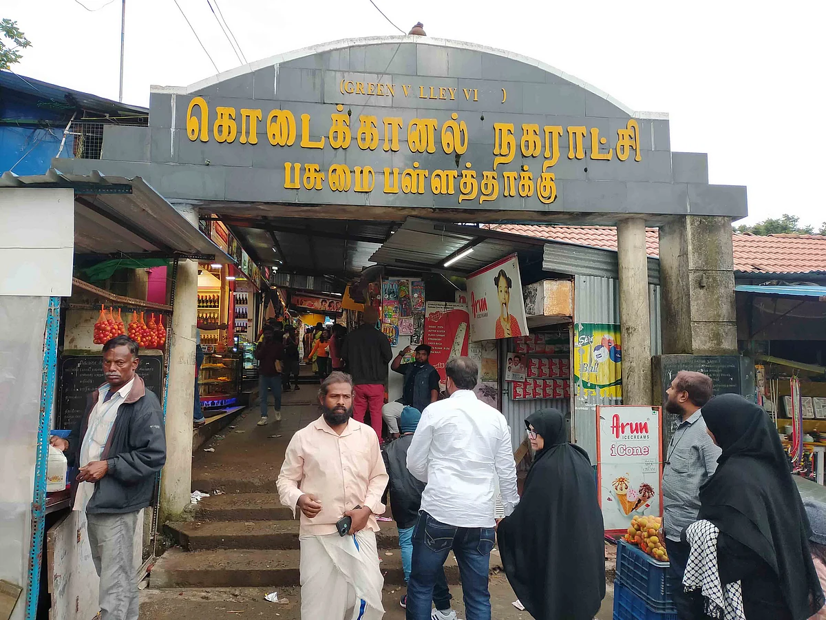 பசுமை பள்ளத்தாக்கு