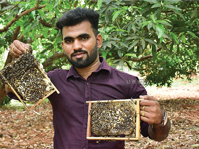 6 மாதங்கள், ரூ.4,80,000
இனிக்கும் லாபம் கொடுக்கும் தேனீ வளர்ப்பு!