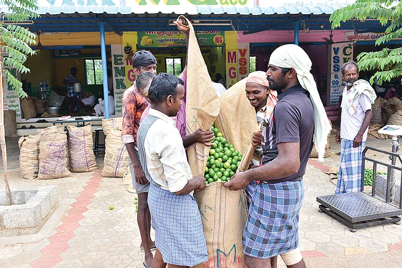 புளியங்குடி எலுமிச்சை சந்தையில்