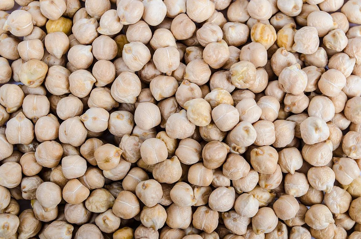 Chickpea