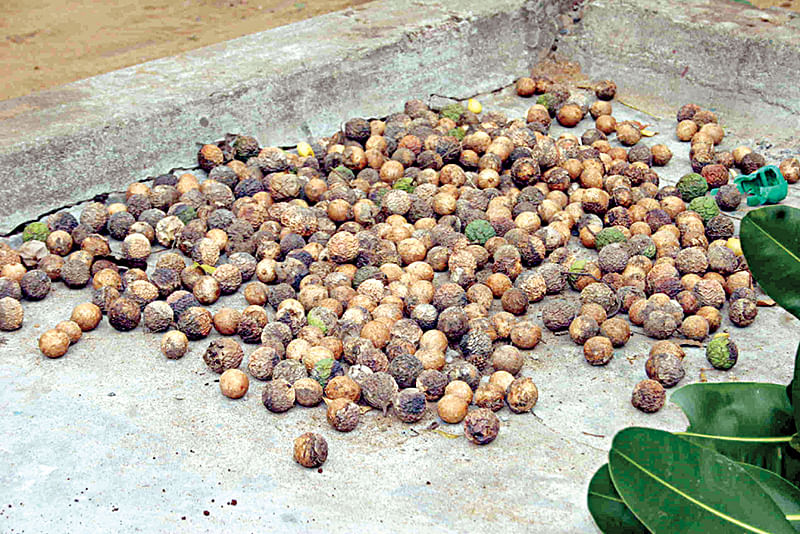 விதைகள்