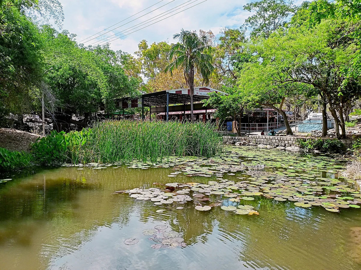 தெப்பக் குளம்