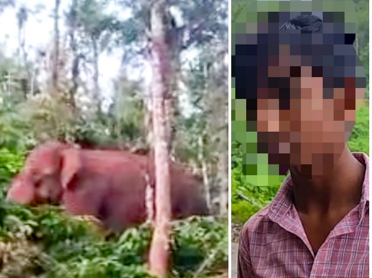 யானை தாக்கி இறந்த தந்தை; கண்ணீருடன் 10-ம் வகுப்பு தேர்வெழுதிய மகன்; சோகத்தில் ஊர்மக்கள்!