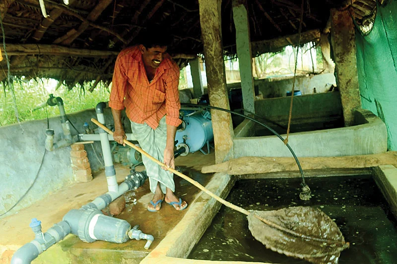 சாண உரக்கலவை அமைப்பு