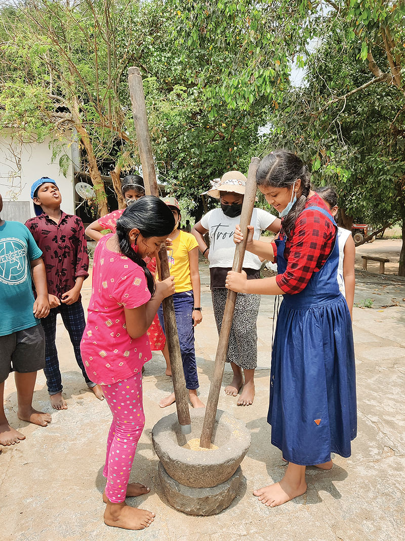 விவசாயப் பணிகளில் மாணவர்கள்