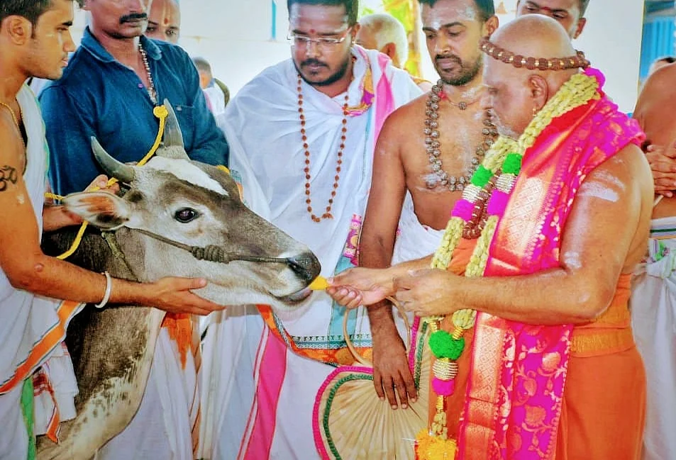 கோதுளி" வழிபாடு