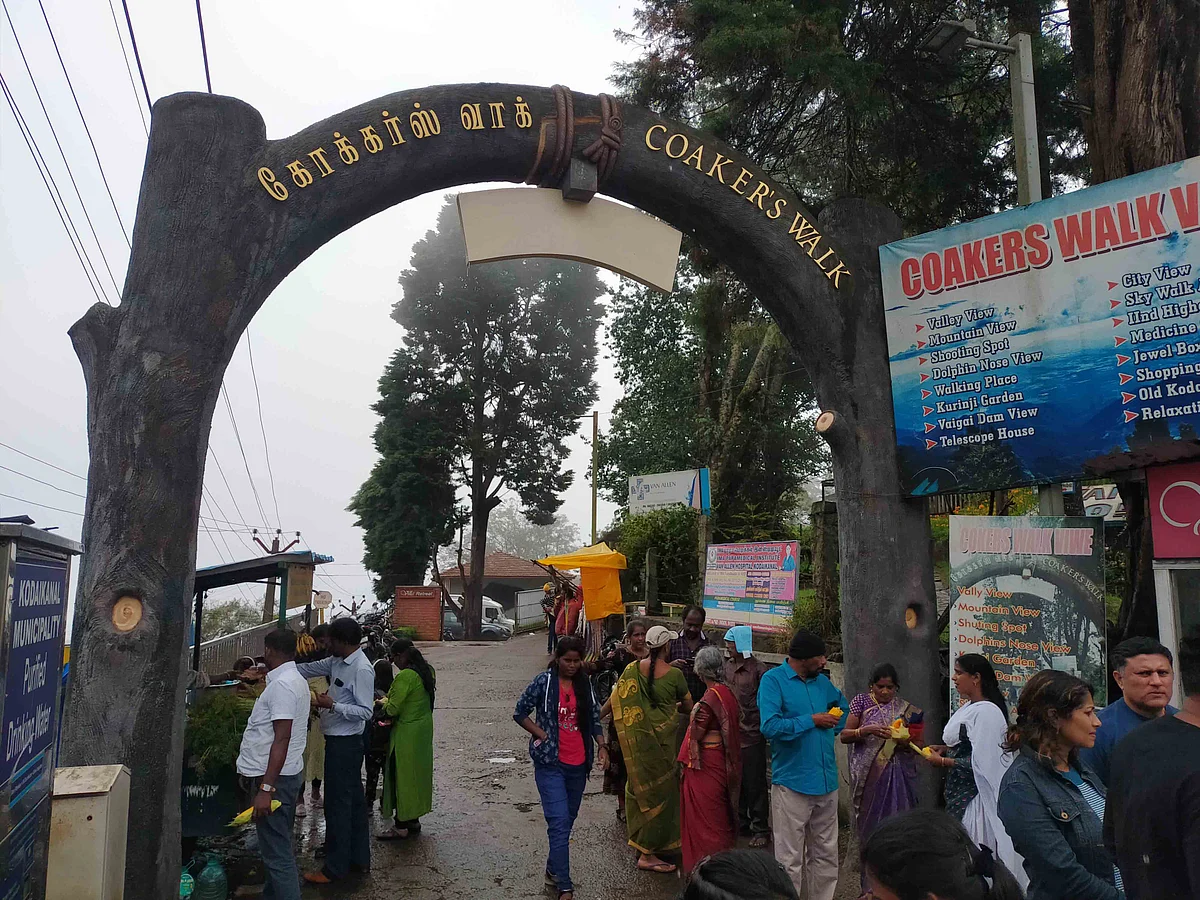 கோக்கர்ஸ் வாக்