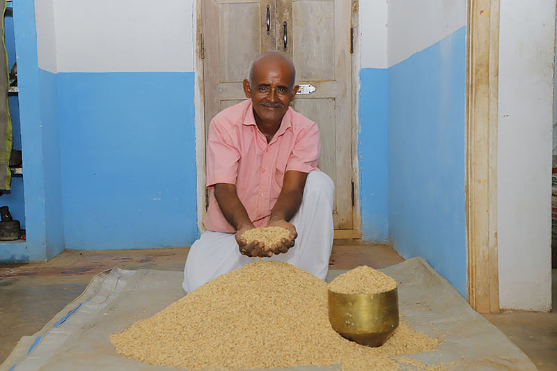 நெல்லுடன்