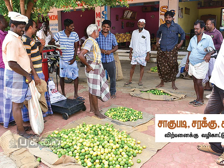 எலுமிச்சைக்குத் தனிச்சந்தை...
லெமன் சிட்டி புளியங்குடி!
