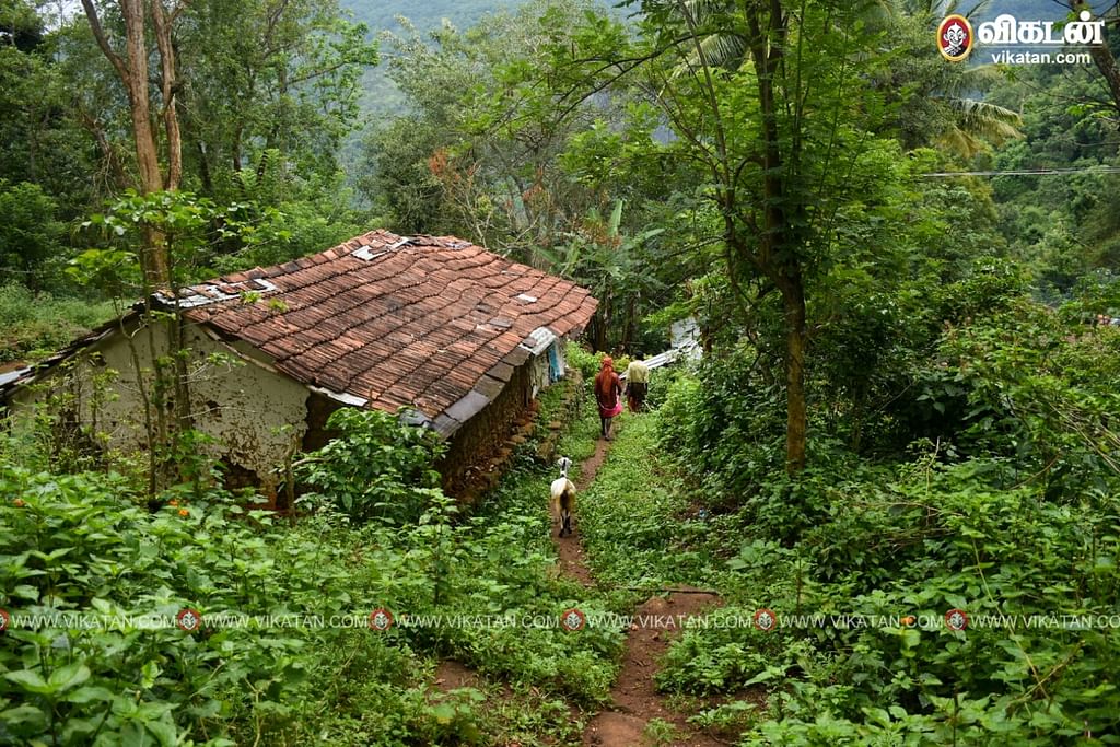 நீலகிரி