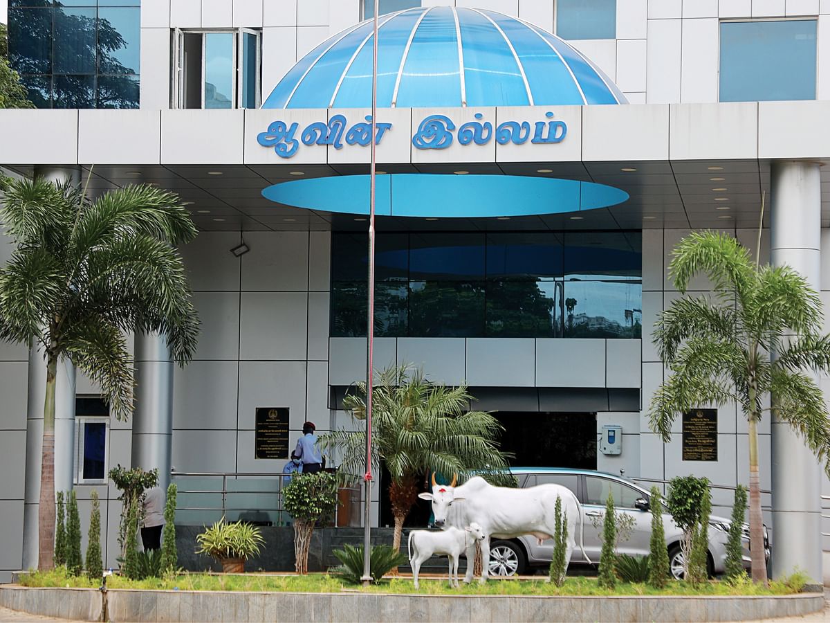 `ஆவினில் சிறார் தொழிலாளர்கள்?!’ - சிறார் போராட்டமும் அமைச்சர் சொல்லும் விளக்கமும்
