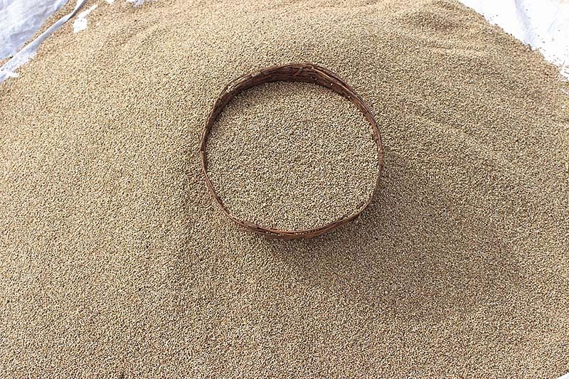 விளைபொருள்கள்