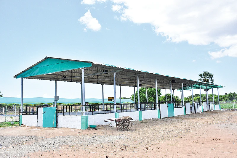 கொட்டகை