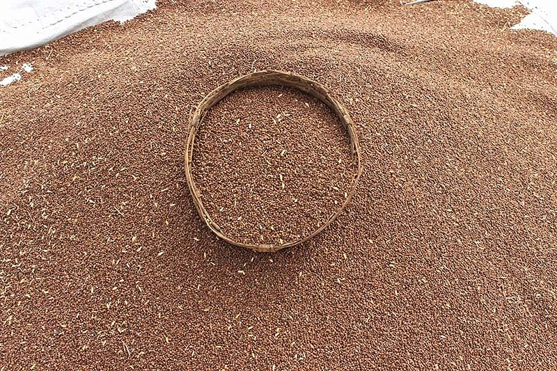 விளைபொருள்கள்