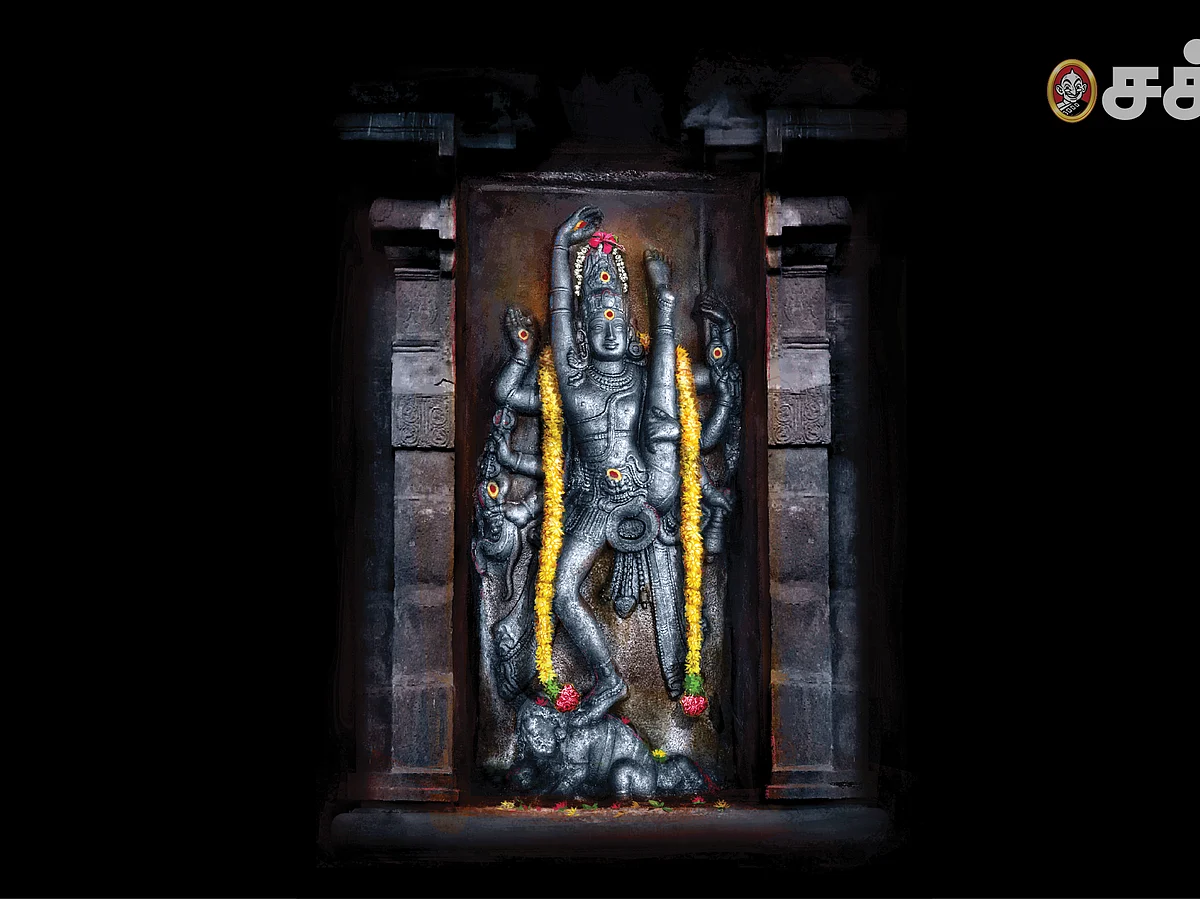 ஆடல் தரிசனம்