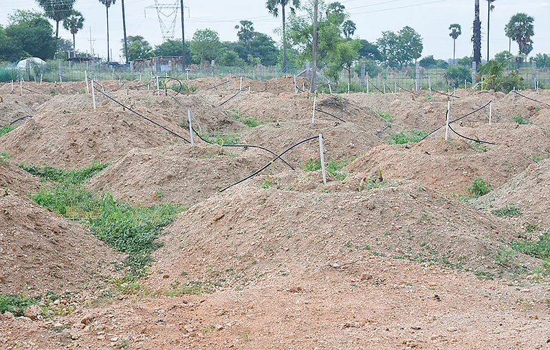 மண் குவியல்