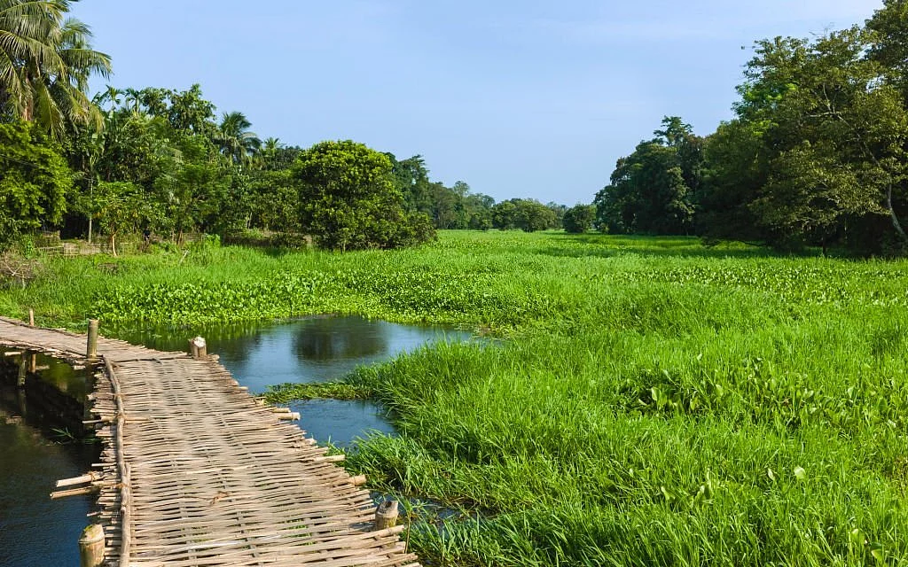 பயணம் (சித்திரிப்பு படம்)