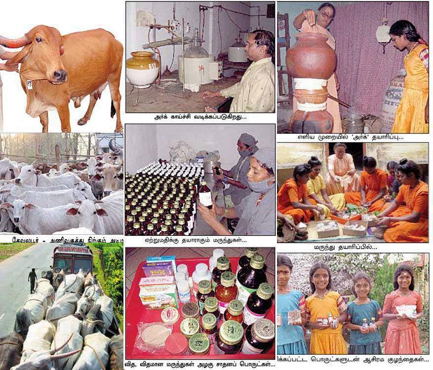 பசுப்பொருள்கள்