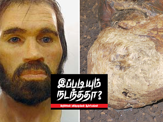 இப்படியும் நடந்ததா? - Lindow Man: கி.மு 2ம் நூற்றாண்டில் இறந்தவனின் உடல் 1980களில் கிடைத்த விநோதம்!