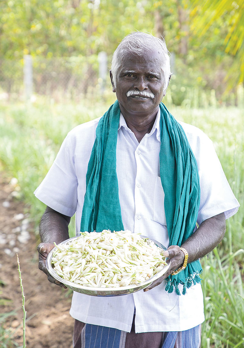 தங்கராசு