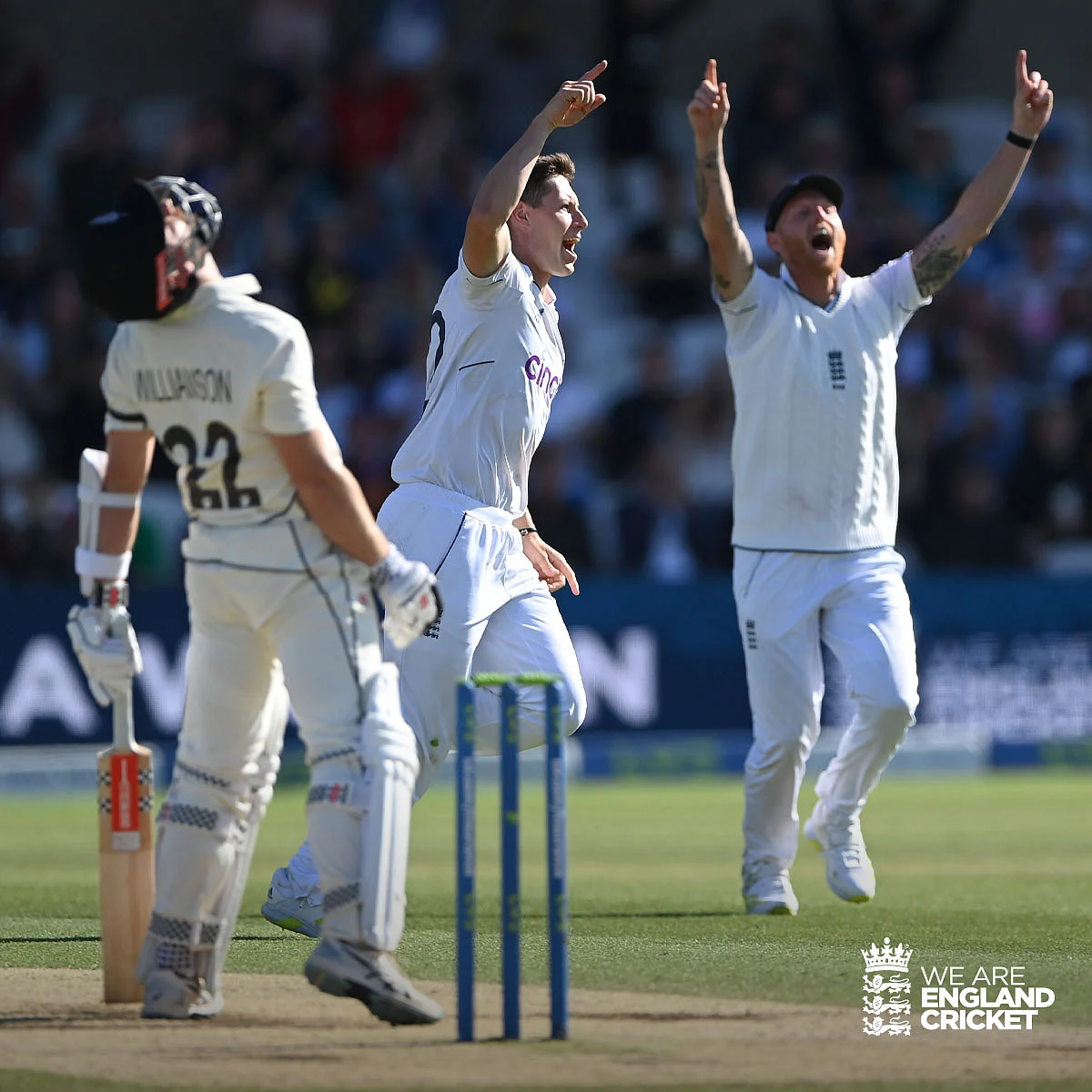 ENG vs NZ
