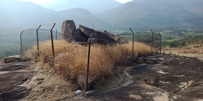 உயர்பதுக்கை