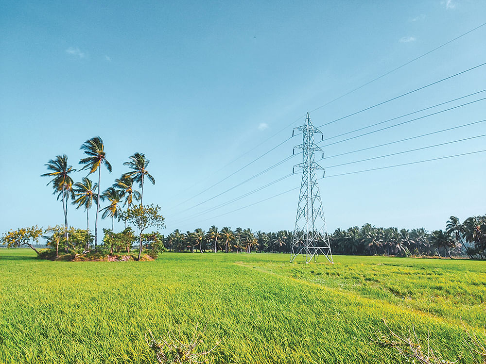 விவசாய நிலம்