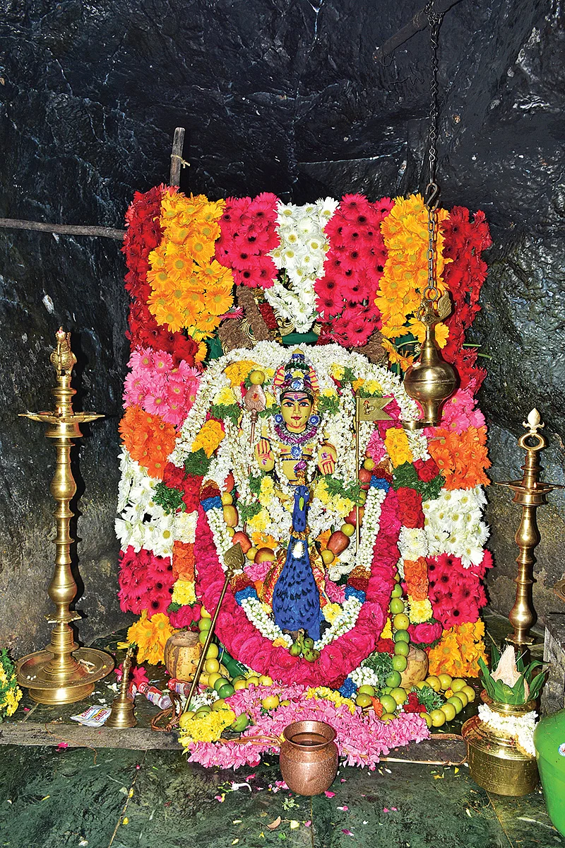 வாரணமும் தோரணமும்!