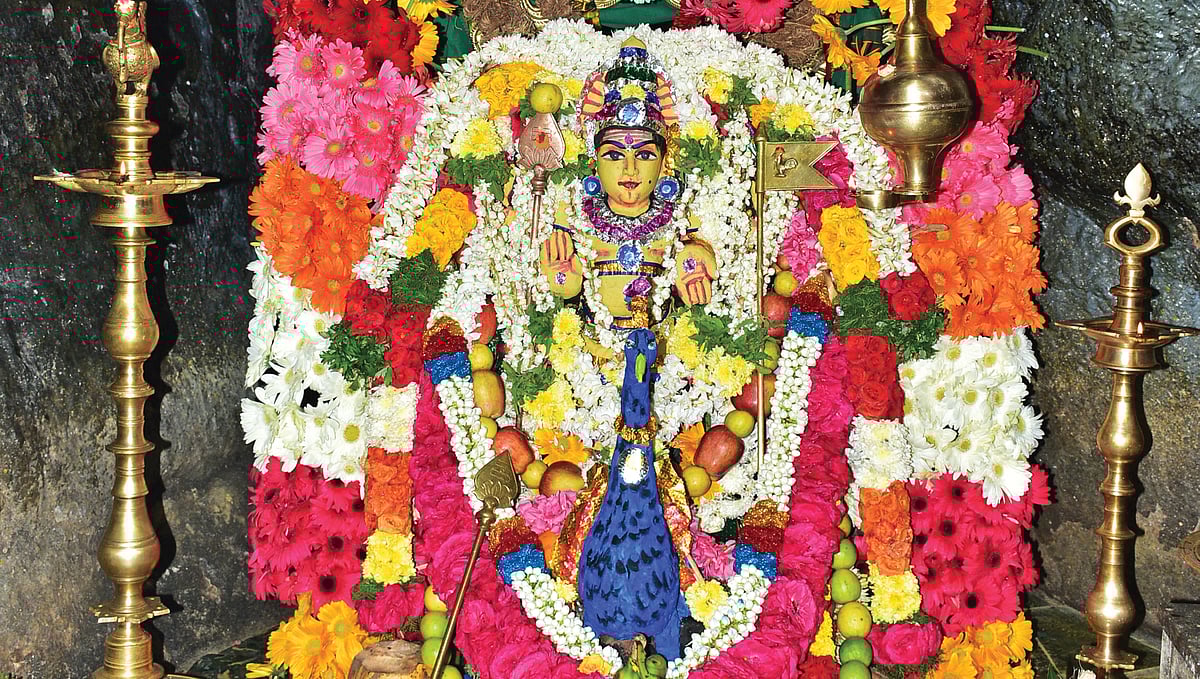 மகாஸ்கந்த ஹோமம்: தீராத நோய்களைத் தீர்த்து வைக்கும் தோரணமலையில் தைப்பூச விழா! சங்கல்பியுங்கள்!