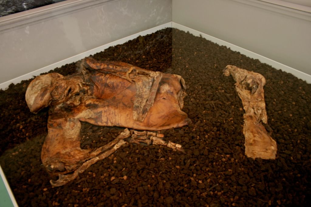பிரிட்டிஷ் அருங்காட்சியகத்தில் Lindow Man