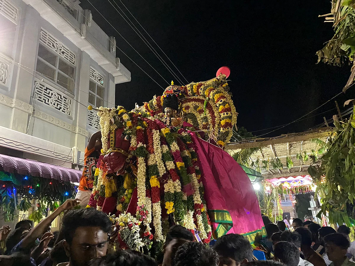 சமயபுரம்: 7 கிராம மக்கள் கொண்டாடும் திருவிழா; குதிரை வாகனத்தில் ஏழு ஊர் பவனி வரும் ஸ்ரீ அய்யாளம்மன்!