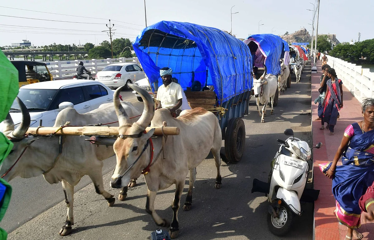 மாட்டு வண்டியில் ஊர்மக்கள்