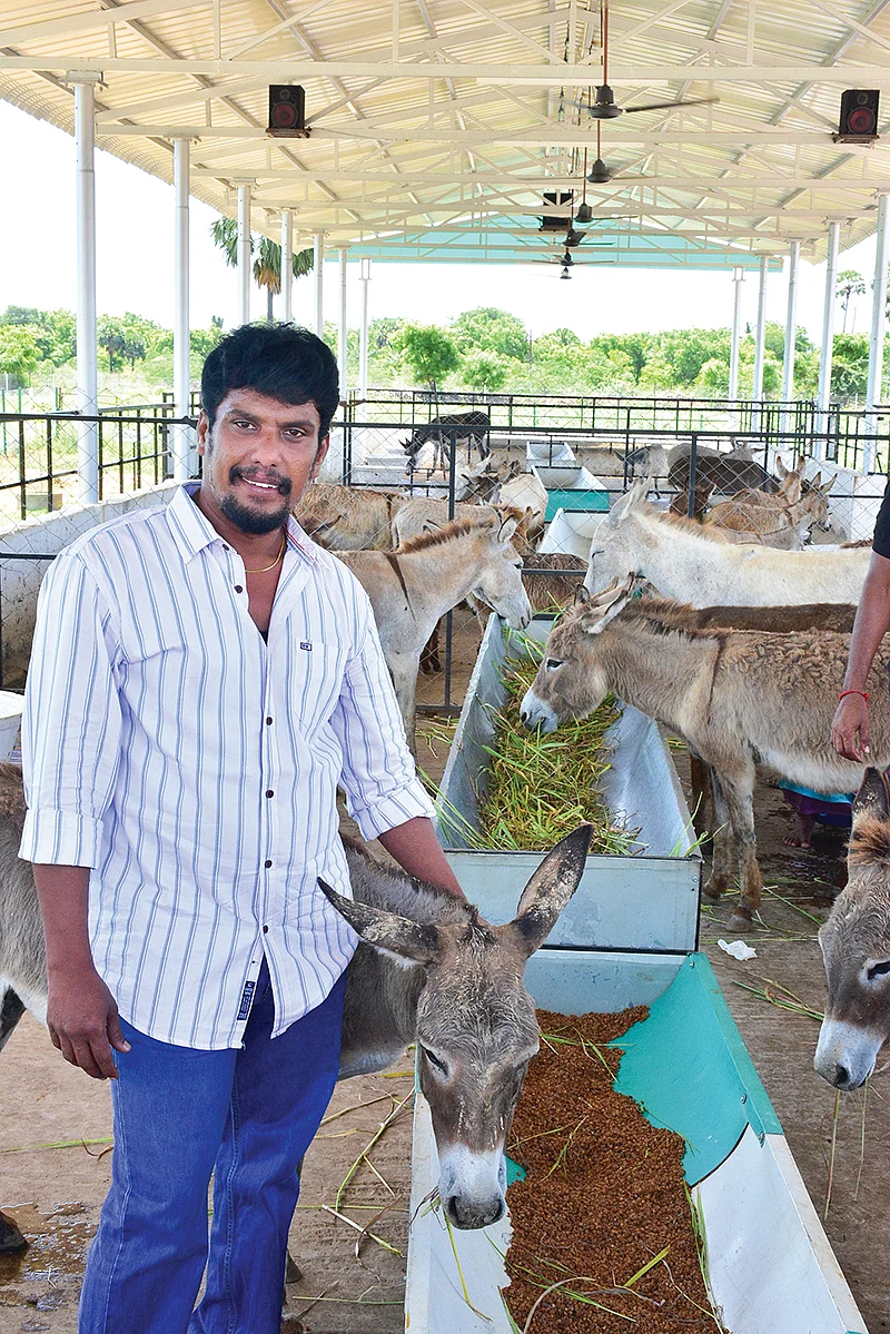 கழுதைகளுடன் பாபு